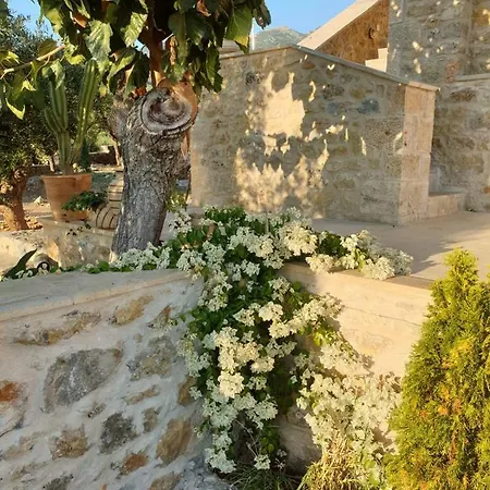 The Mousehouse Homestay Riglia