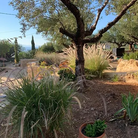 The Mousehouse Homestay szállás