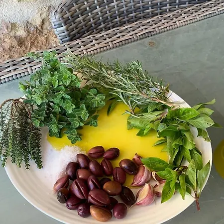 The Mousehouse * Rínglia