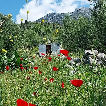 The Mousehouse Rum i privatbostad Riglia