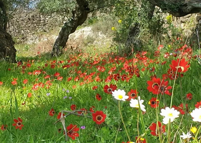 The Mousehouse Rum i privatbostad Riglia