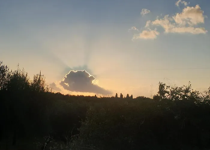 The Mousehouse Privat bolig