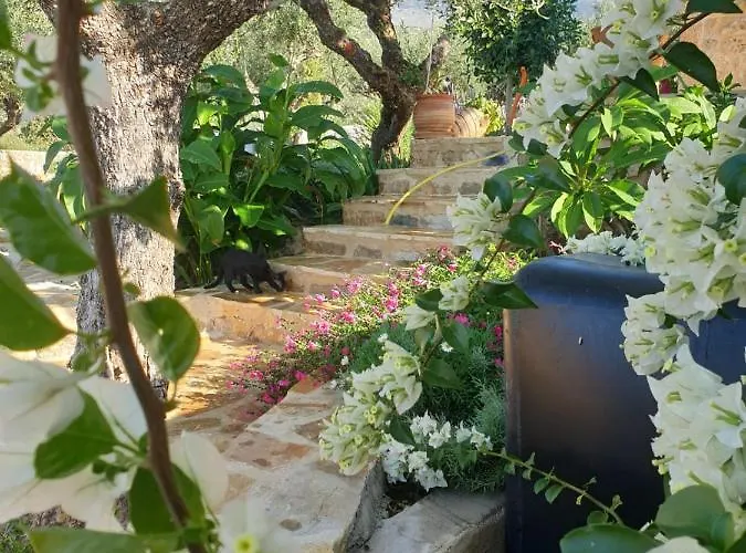 The Mousehouse Privat bolig Riglia