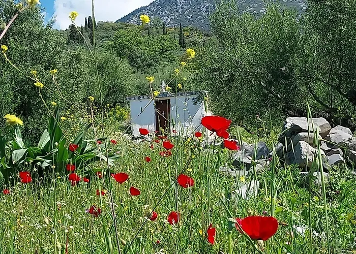 The Mousehouse Rum i privatbostad Riglia